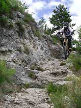 MTB Gardasee, Mountainbike